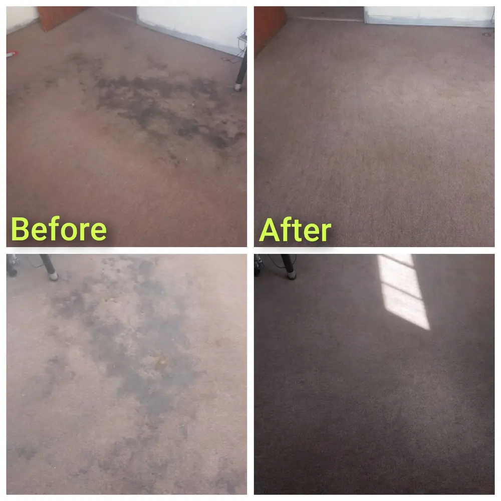 Carpet cleaning before and after